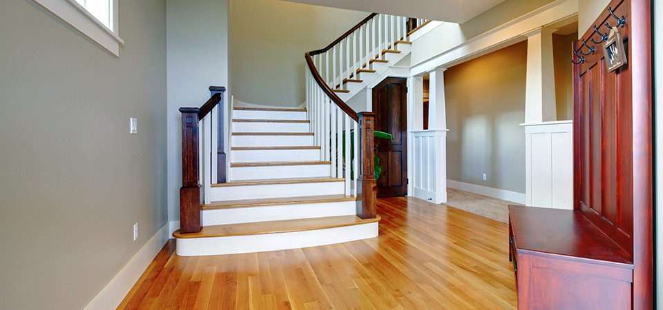 Are You a Pet Owner? Why Hardwood Floors are Easy for Cleanup & Maintenance