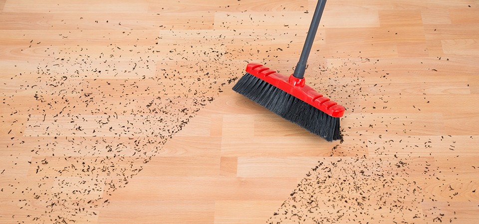 Easy Cleanup With New Flooring Installation 